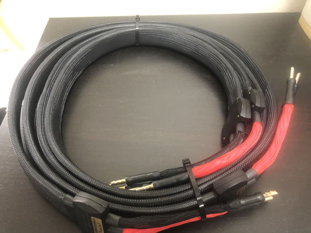 Wireworld Silver Eclipse 6 6 ft speaker cables