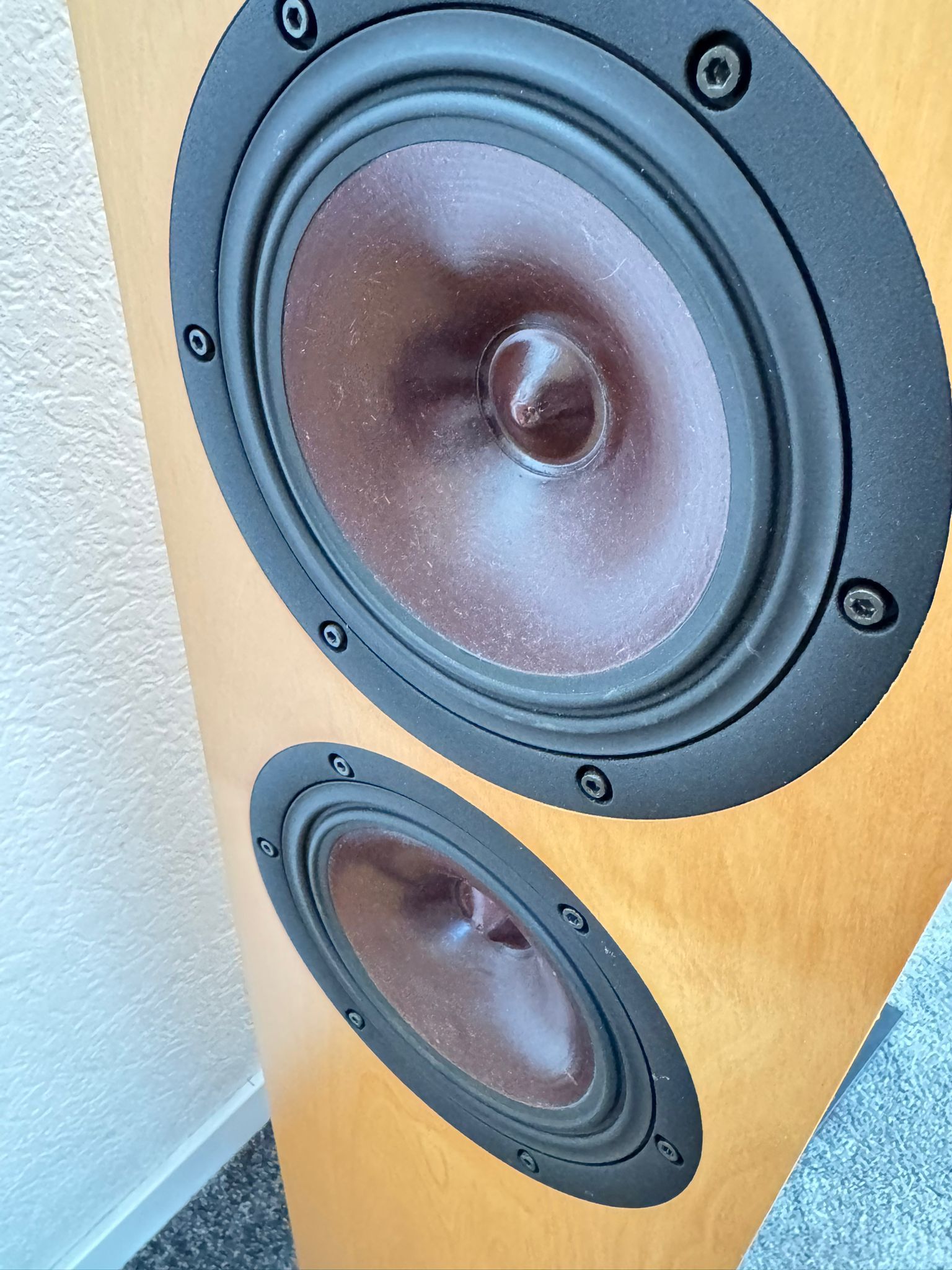 Odeon Tosca S speakers in maple 6