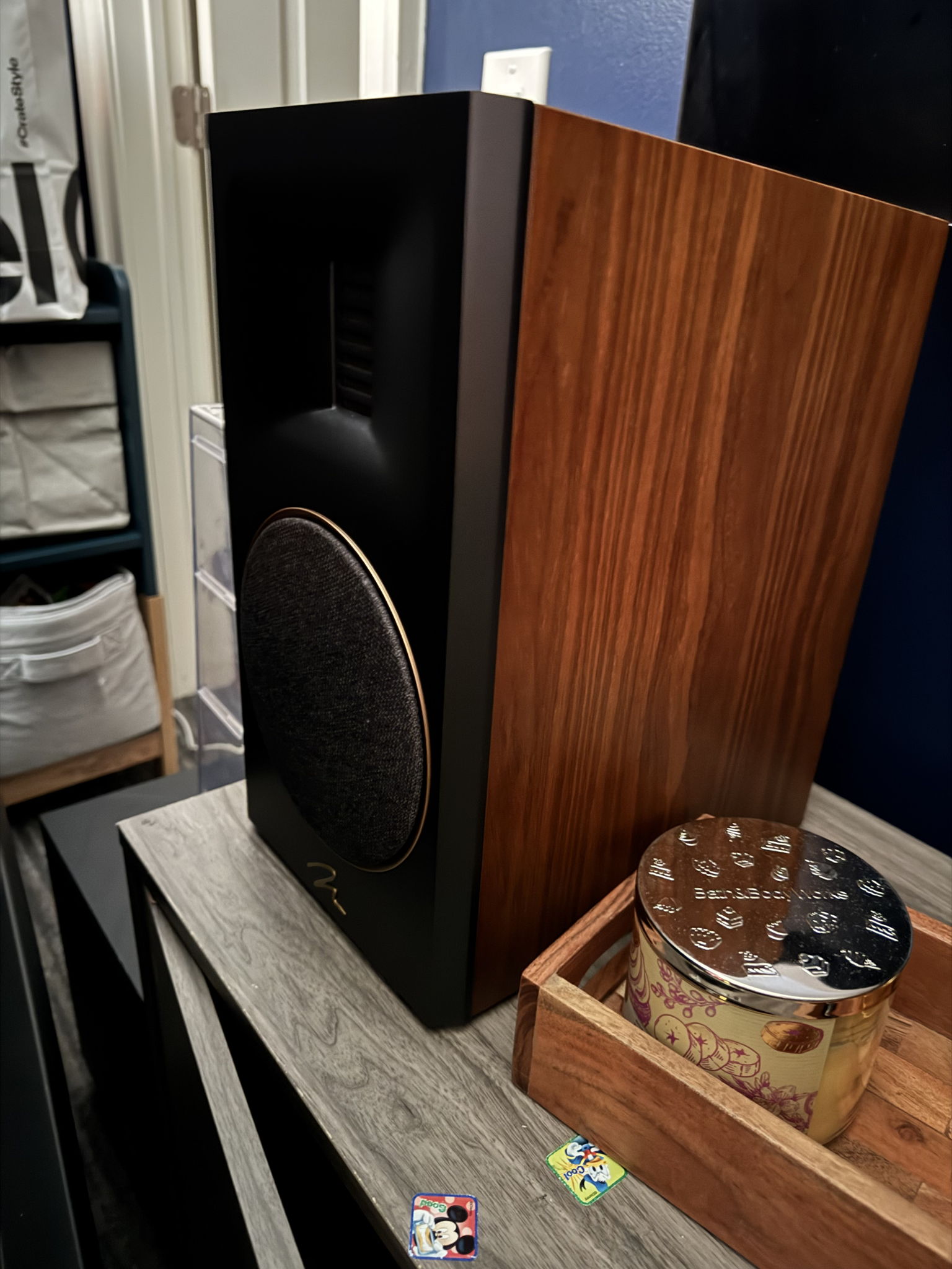 Martin Logan Motion XT B100 2