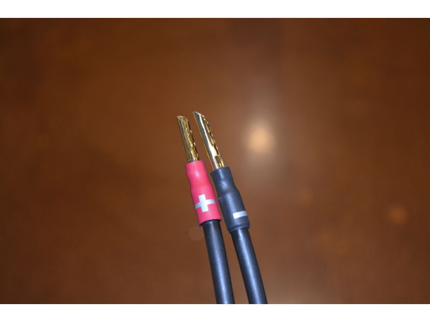 Synergistic Research Atmosphere UEF Level 1 Speaker Cables -- Excellent Condition (see pics!)