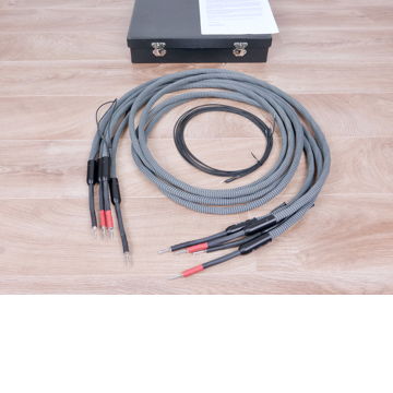 Dyrholm Audio Vision highend audio speaker cables 2,5 m...