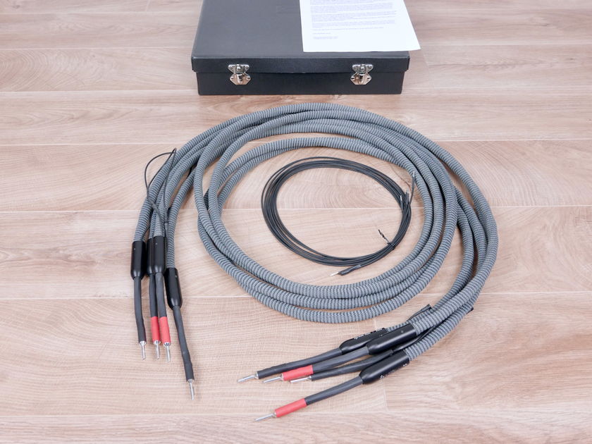 Dyrholm Audio Vision highend audio speaker cables 2,5 metre