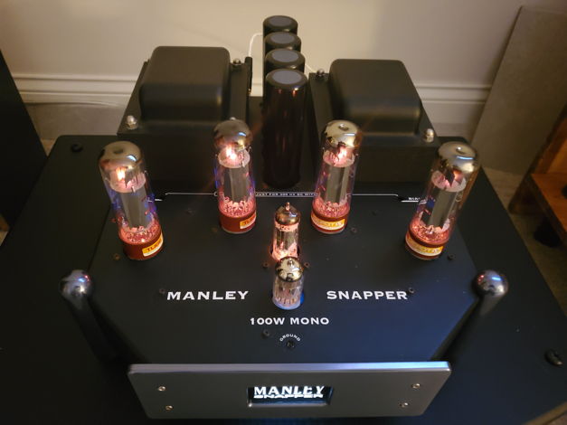 Manley Snapper - Monoblocks