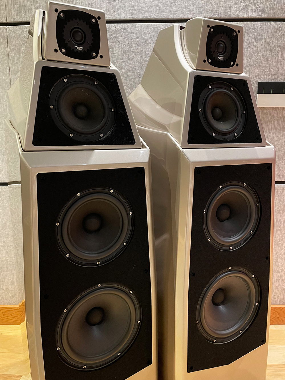 Wilson Audio Certified Authentic Pre-Owned, Desert Silv... 5