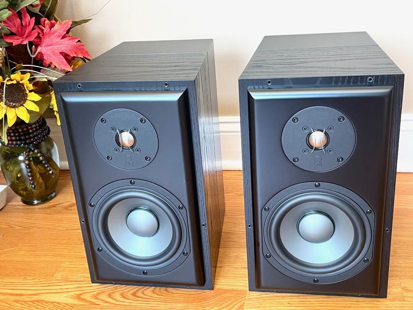 Revel Performa M22 Speakers, Can't Beat It For the Price, Must Read