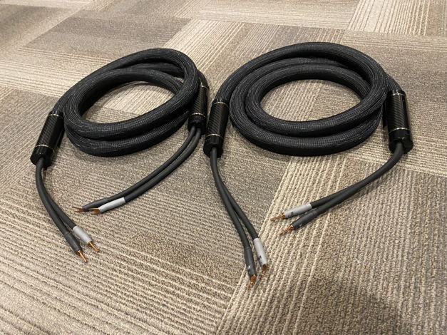 Shunyata Research Alpha V2 Speaker Cables (3M / Spade >...