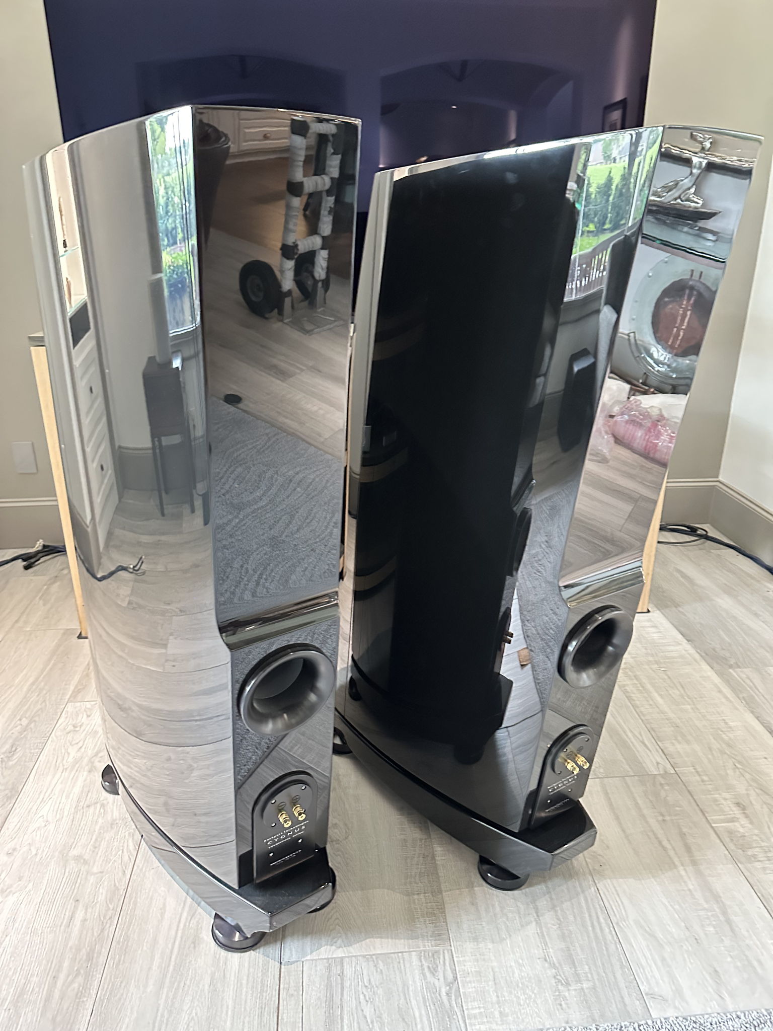 Rockport Technologies Cygnus Full Range Speakers Custom... 5