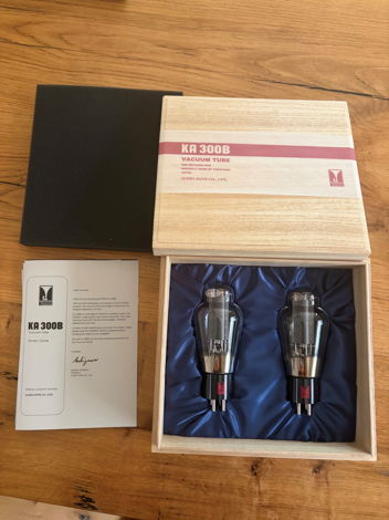Kondo AudioNote Japan KA 300B For Sale | Audiogon