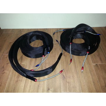 Klee Acoustics -- Dragon Reference (6.0M Demo Pair) -- ...