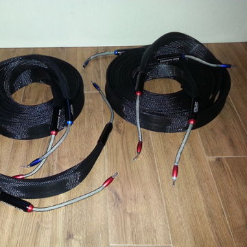 Klee Acoustics -- Dragon Reference (6.0M Demo Pair) -- ...