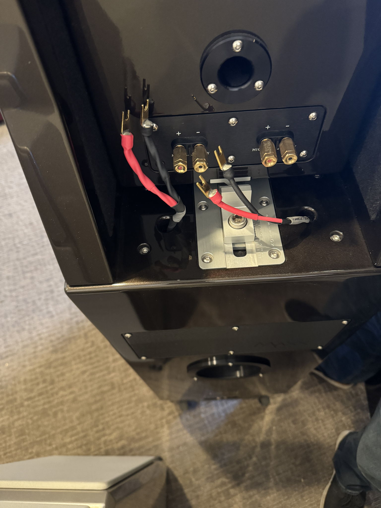 Wilson Audio Certified Authentic Pre-Owned MAXX 3 10