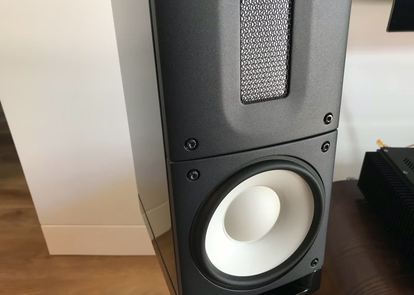 Danish Excellence! Raidho Acoustics X-1 (with Stands)