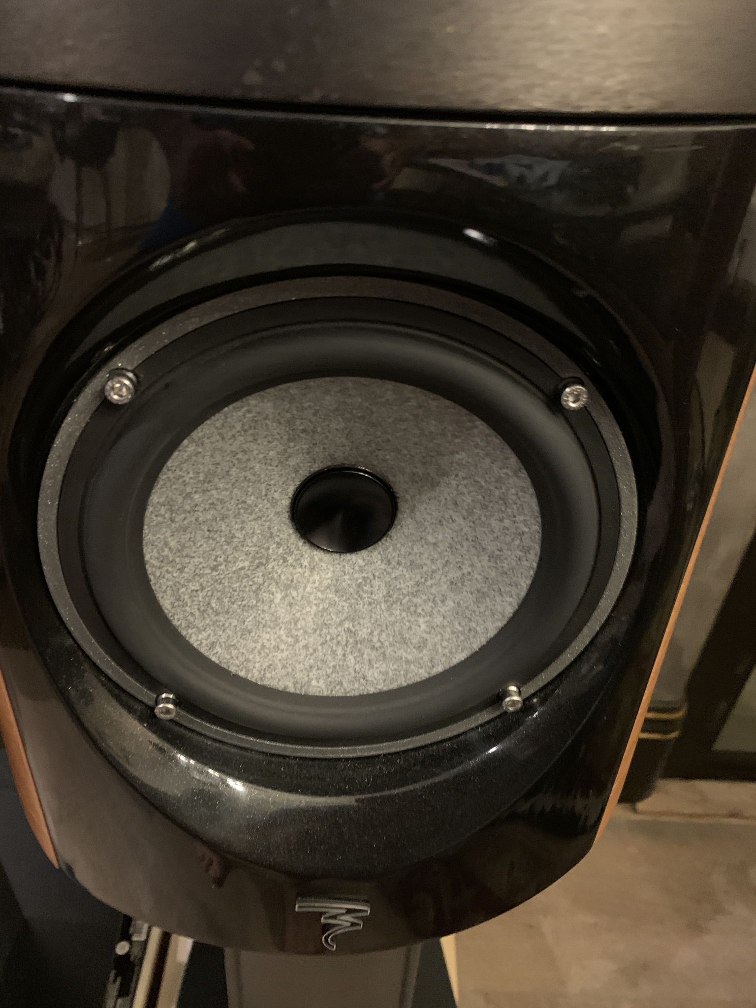 Focal Electra 1007s  and matching stands 4