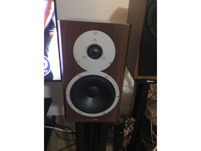 DYNAUDIO WALNUT FINISH Excite X14A PAYPAL AND SHIPPING INCL