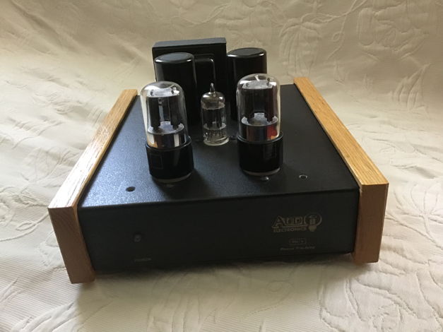 Audio Electronics by Cary Audio PH1 MM phonostage