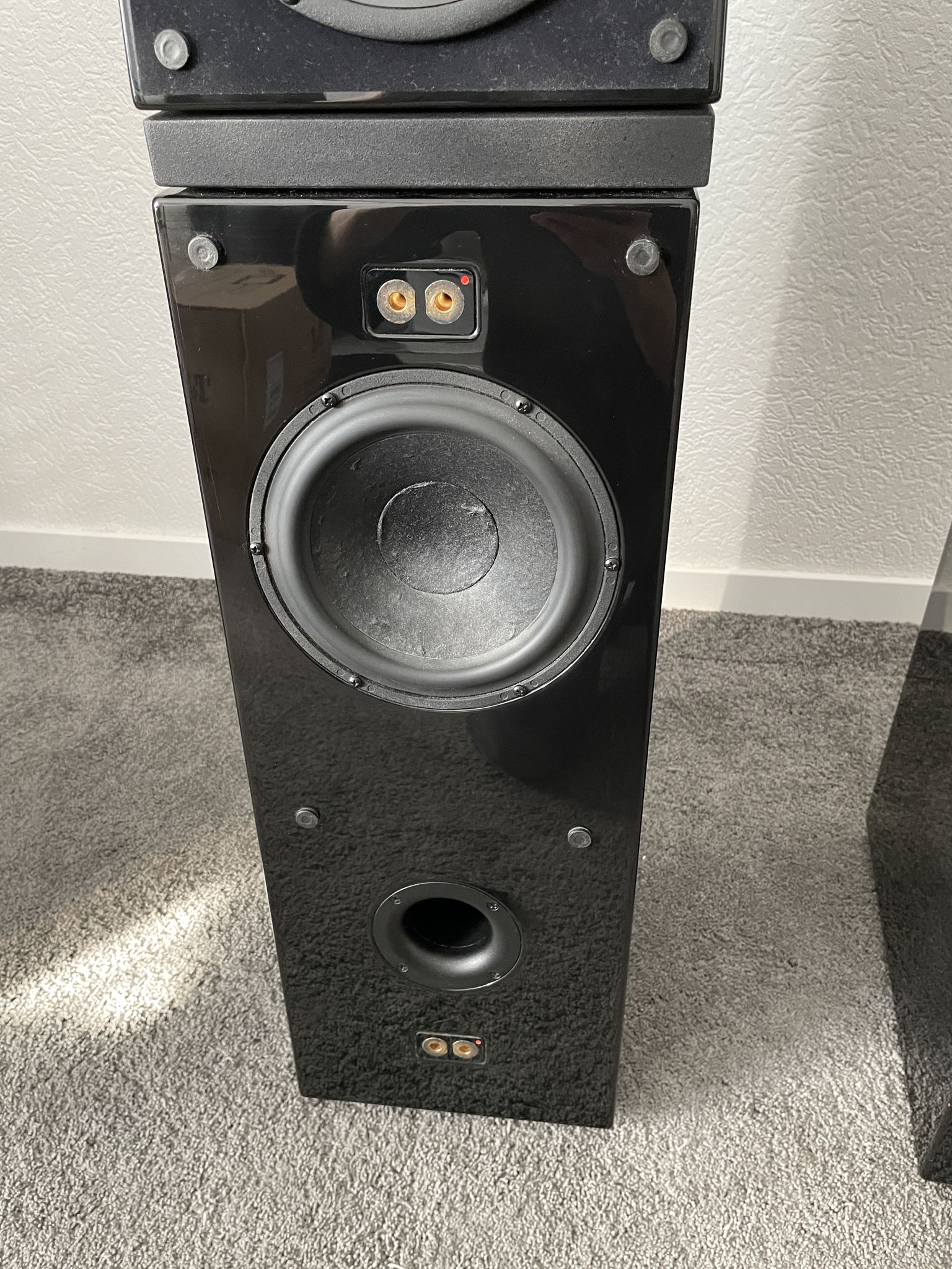 Verity Audio Rienzi speakers in black 7