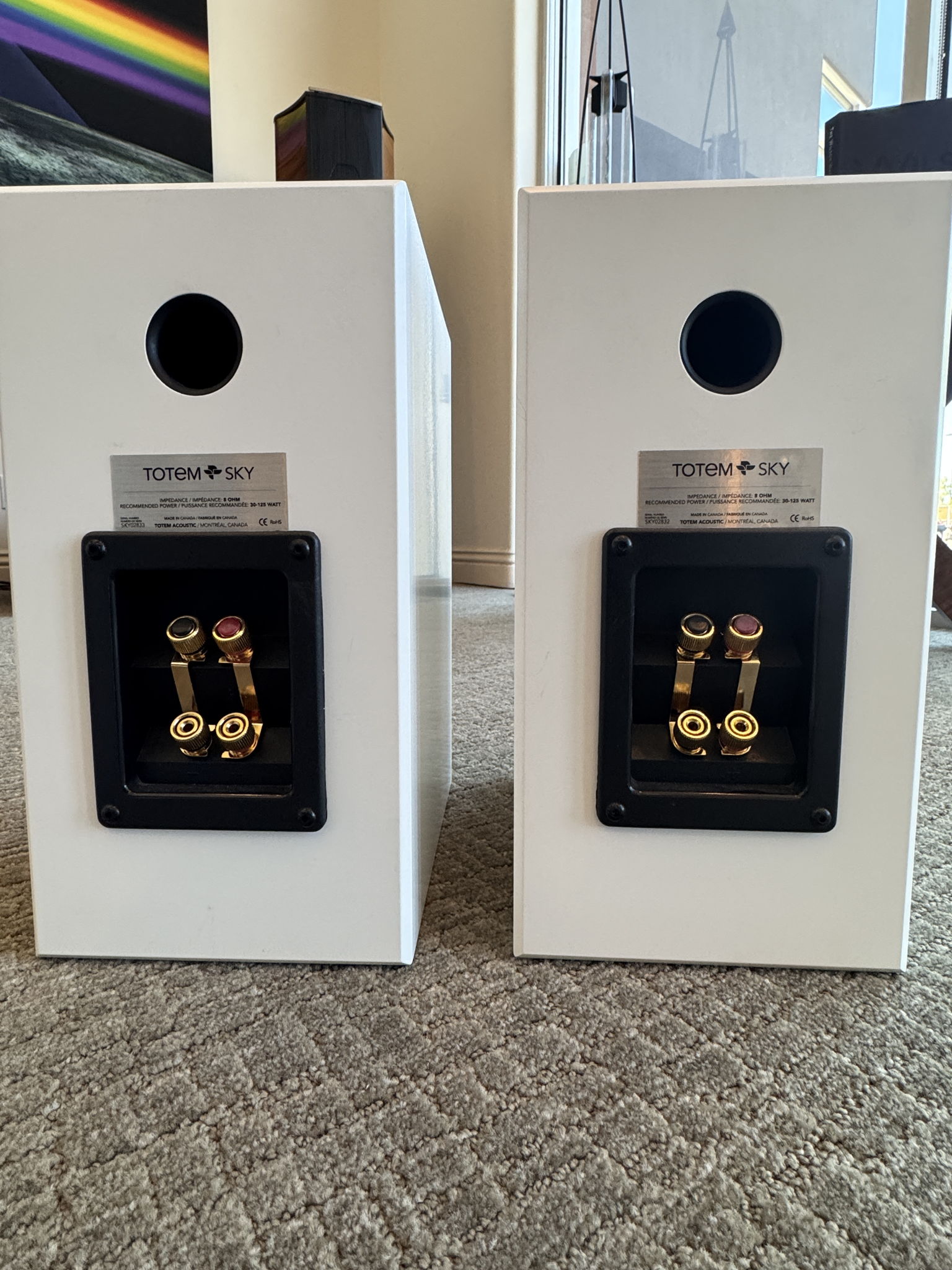 Totem Acoustic Sky 5