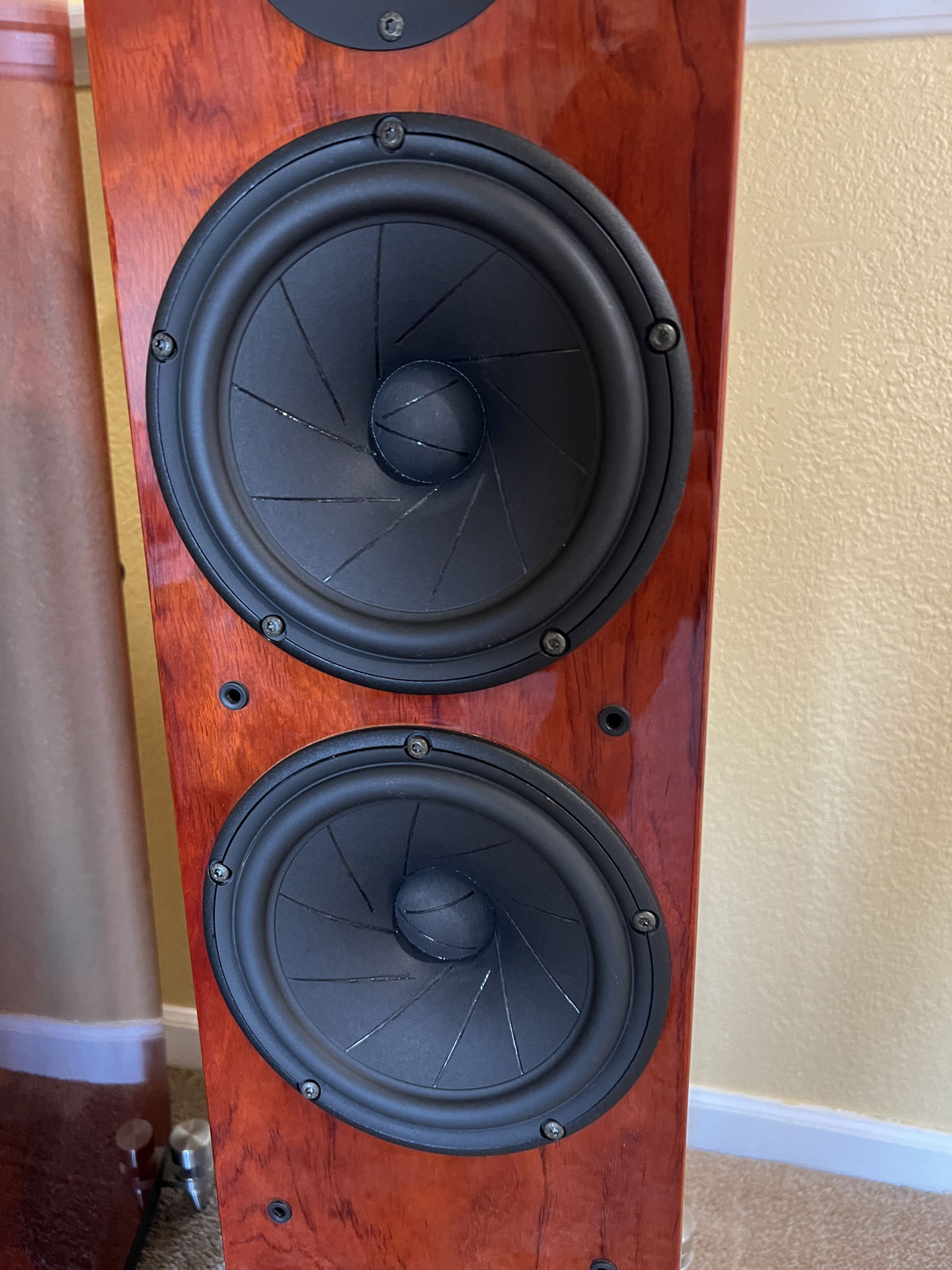 GamuT Audio L-5 Speakers 4