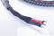 AudioQuest CV-6 Bi-Wire Speaker Cables; Type 6; 10ft Pa... 4