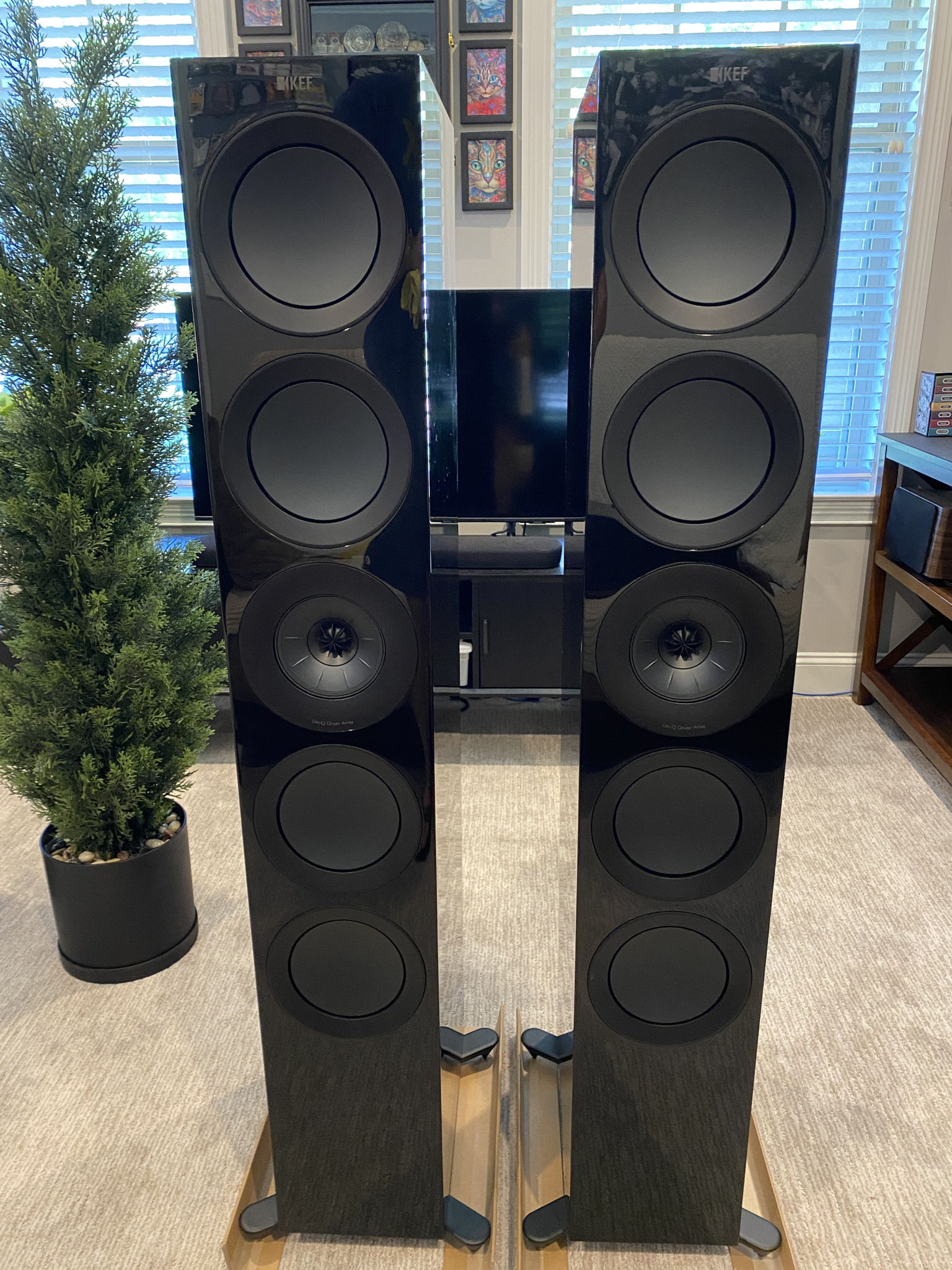 KEF R11, Full Range Speaker, Stunning... (non-Meta)