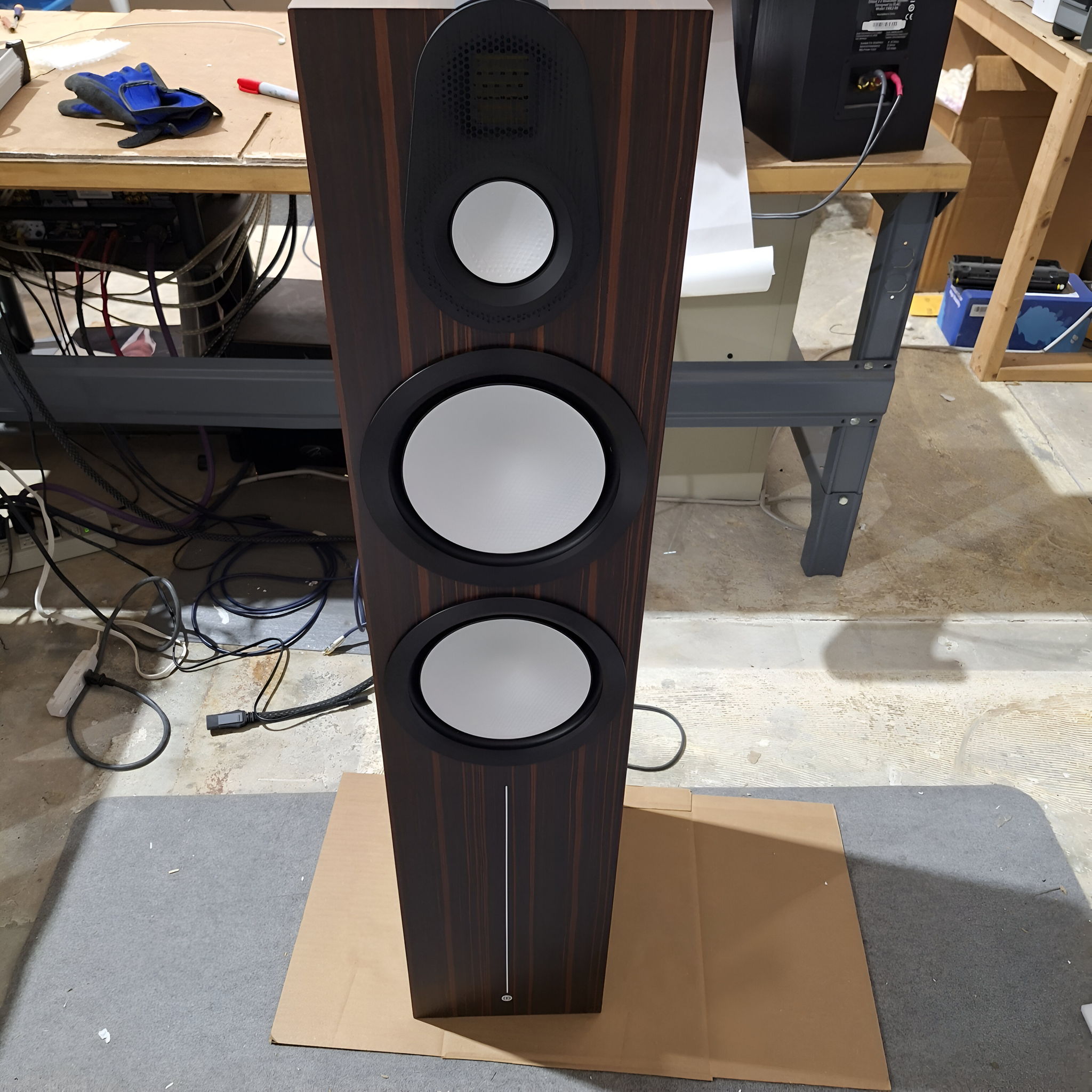 Front of the damaged speaker (perfect!)