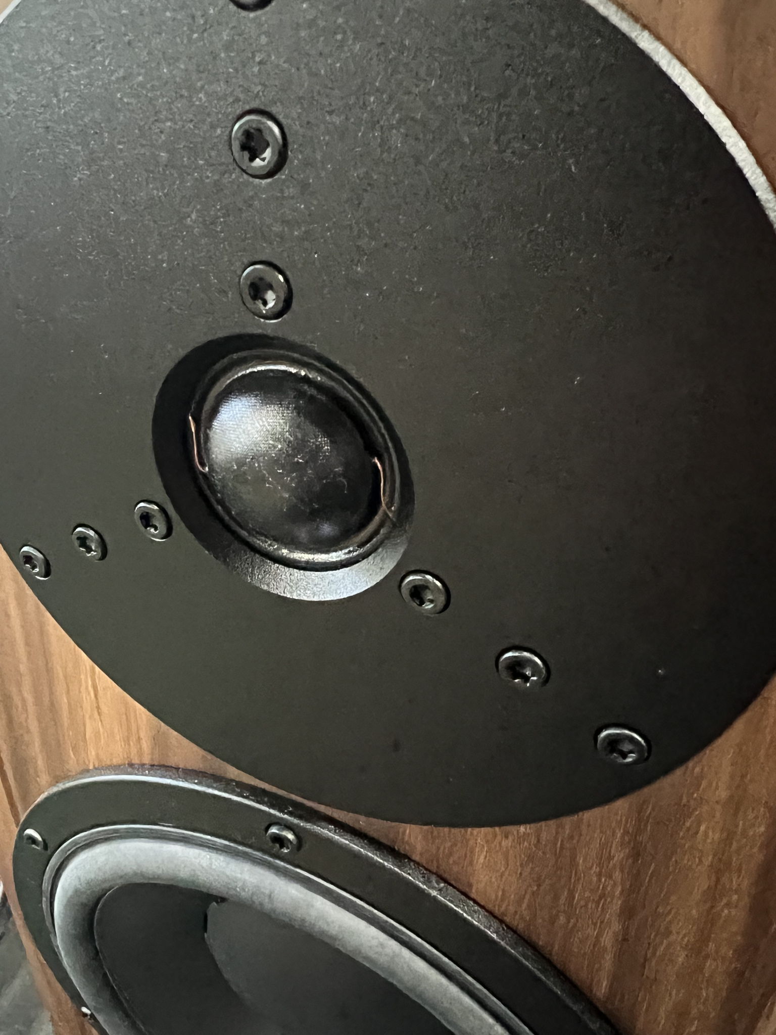 Dynaudio Heritage Special- cheapest pair for sale 8