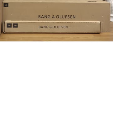 Bang & Olufsen BEOSOUND THEATRE