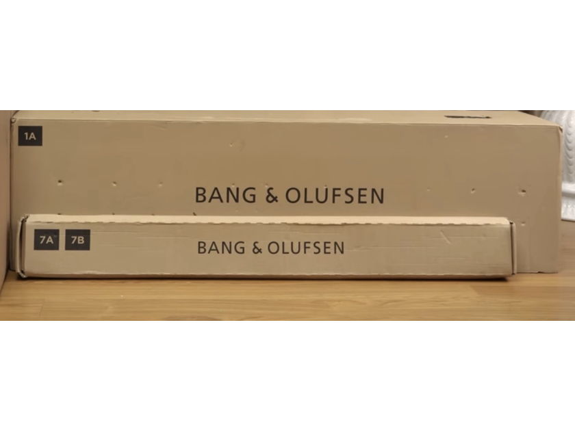 Bang & Olufsen BEOSOUND THEATRE