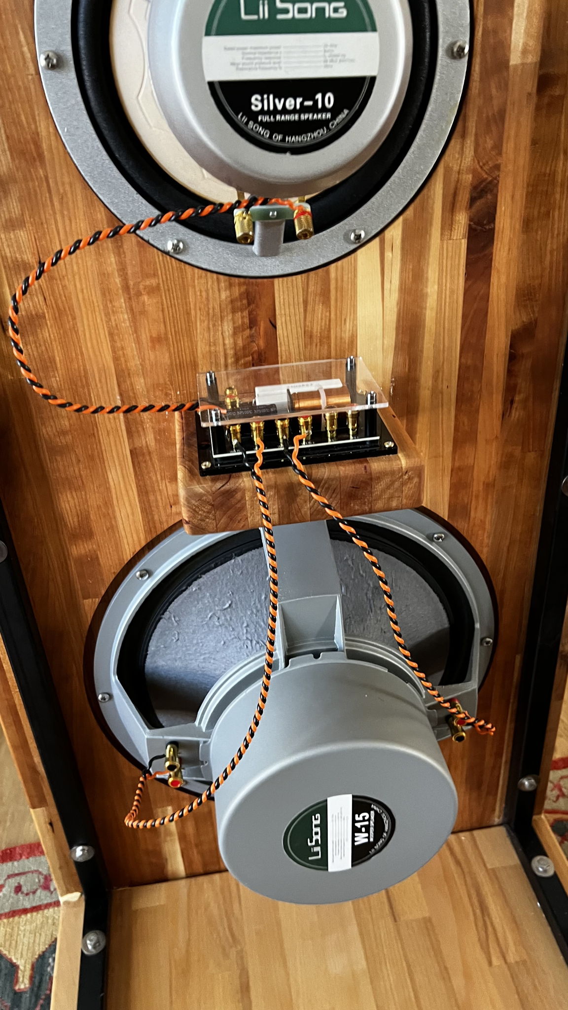 Liionidas Extreme Open Baffle Speakers DIY 5