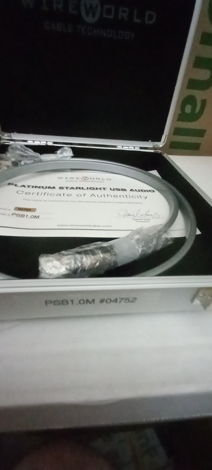 Wireworld  Platinum Starlight USB AUDIO CABLE Brand New...