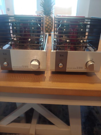 Triode Corporation TRV-M300SE - 300B Monoblock Amplifiers