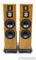 Salk Sound SoundScape 8 Floorstanding Speakers; SS8; Qu... 3