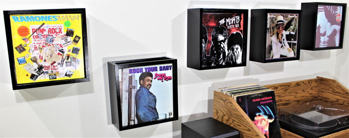 Album Storage Cases Vinyl Record Storage Display Box