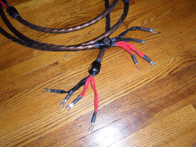 Wireworld cable Eclipse 7 bi-wire .8ft .  All pure copp...