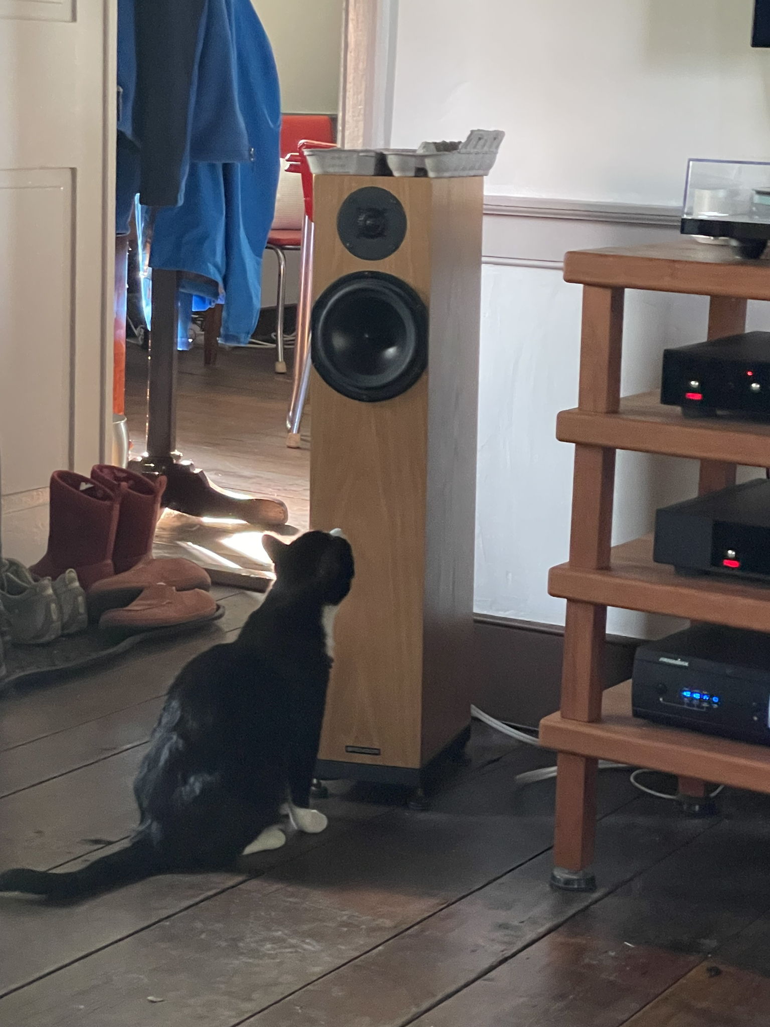 His Master's Voice