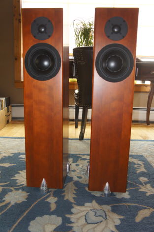 Totem Acoustic Forest Cherry