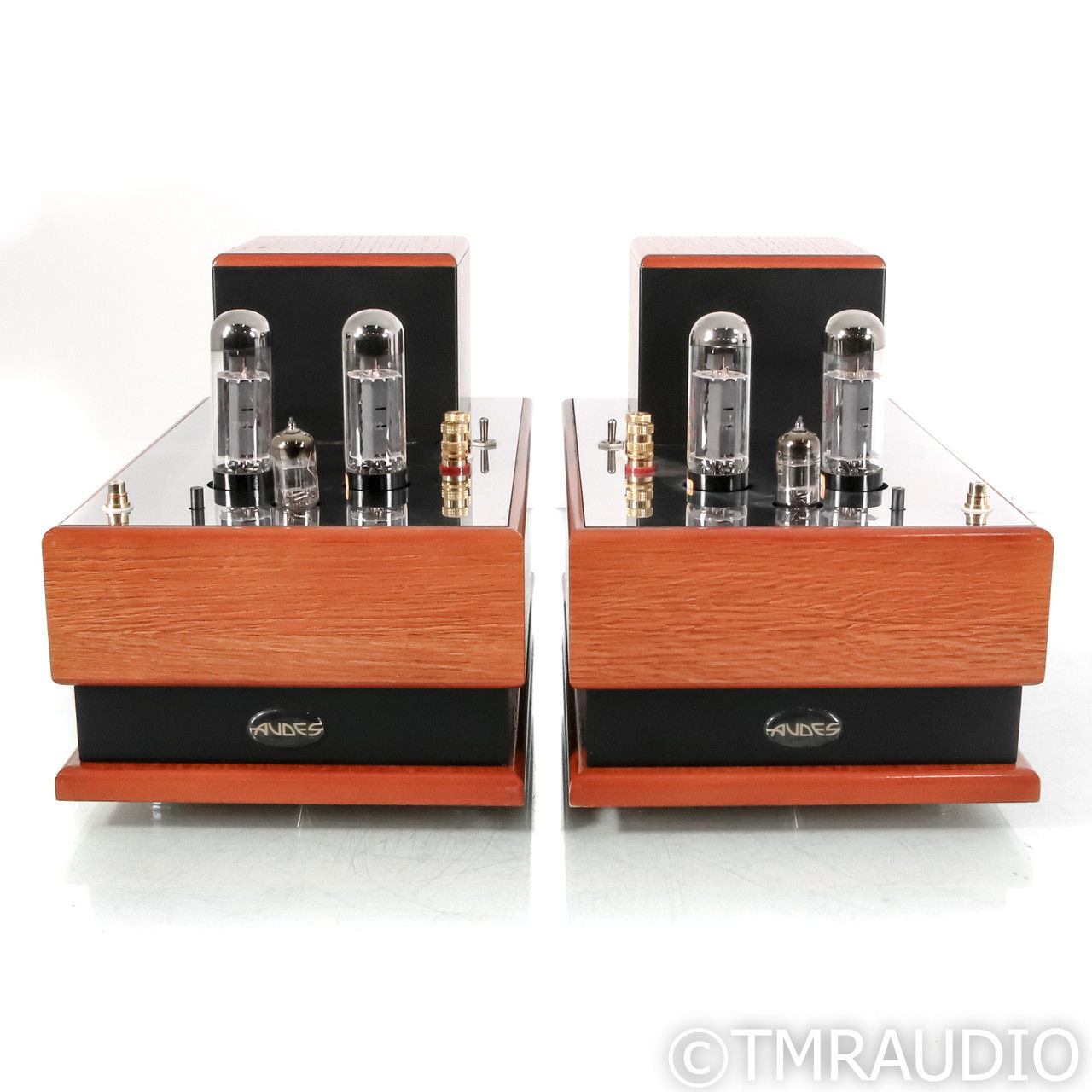 Audes NS 1 Monoblock Tube Power Amplifier; Pair (67128) 2