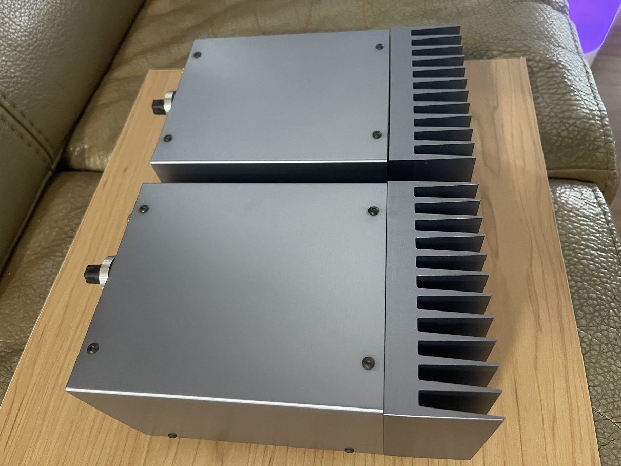 Goldmund job 300 monoblock power amps (pair) 2