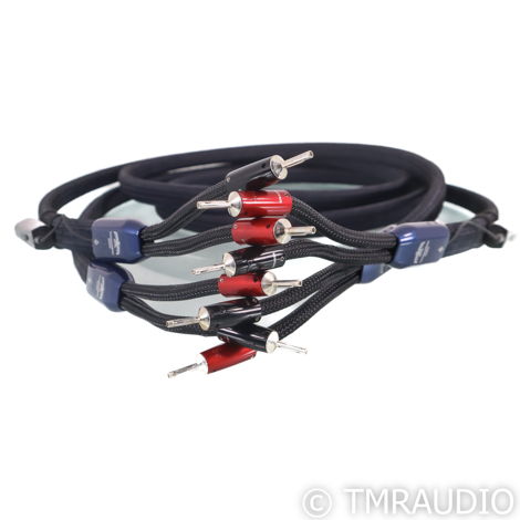 AudioQuest ThunderBird ZERO Speaker Cables; 8ft Pair (6...