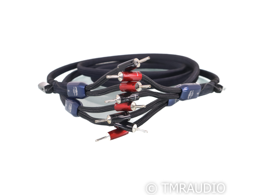 AudioQuest ThunderBird ZERO Speaker Cables; 8ft Pair (63068)