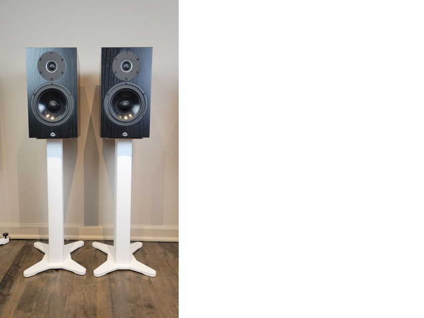 Kudos Audio Demo Loudpeaker Opportunity For Sale Audiogon