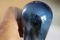 Arcturus Blue Glass 145 Globes  - Amplitrex Tested -  E... 8