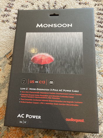 AudioQuest monsoon