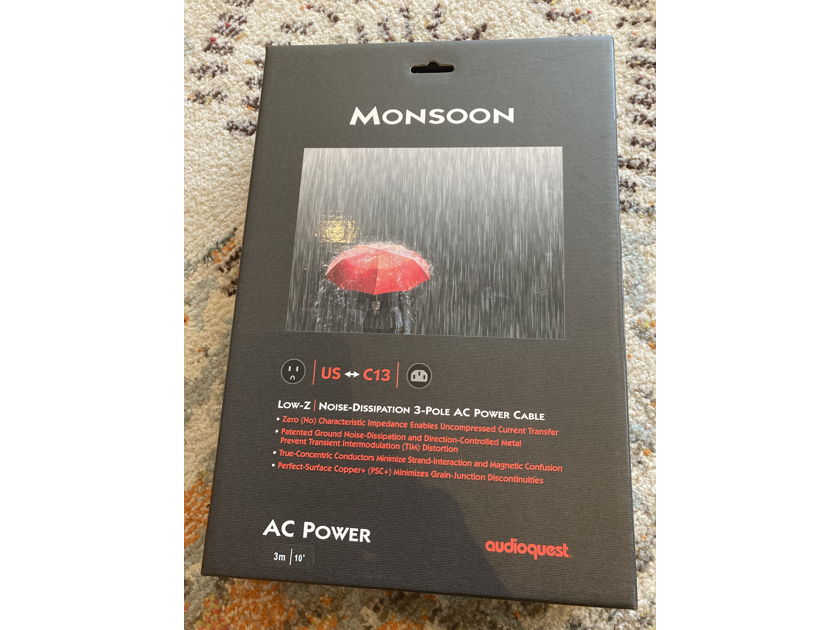 AudioQuest monsoon