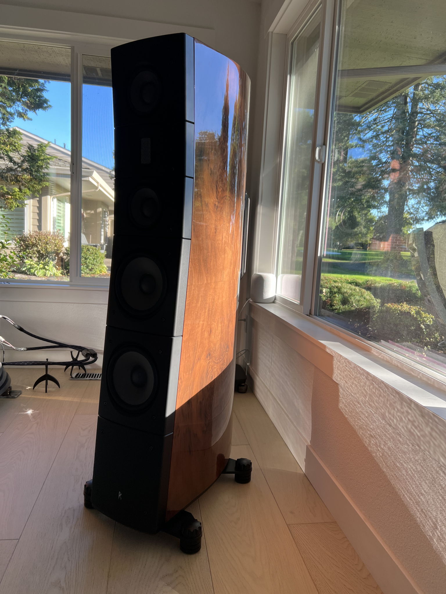 Raidho Acoustics TD 3.8's 4