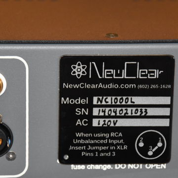 NewClear NC1000L Class D Ice power
