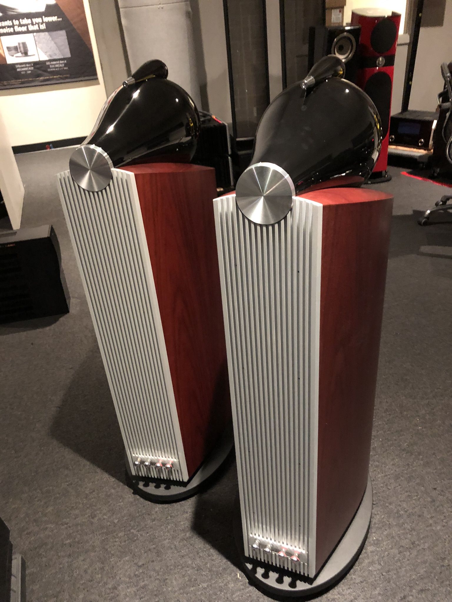 B&W (Bowers & Wilkins) 802D3 rosewood 6