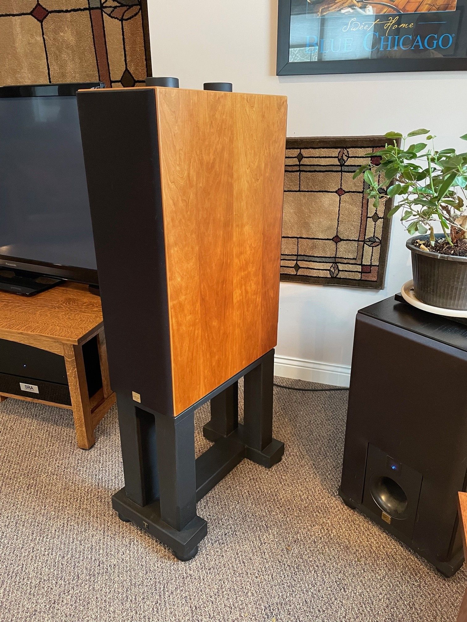 SPEAKERS - AERIAL ACOUSTICS LR5s