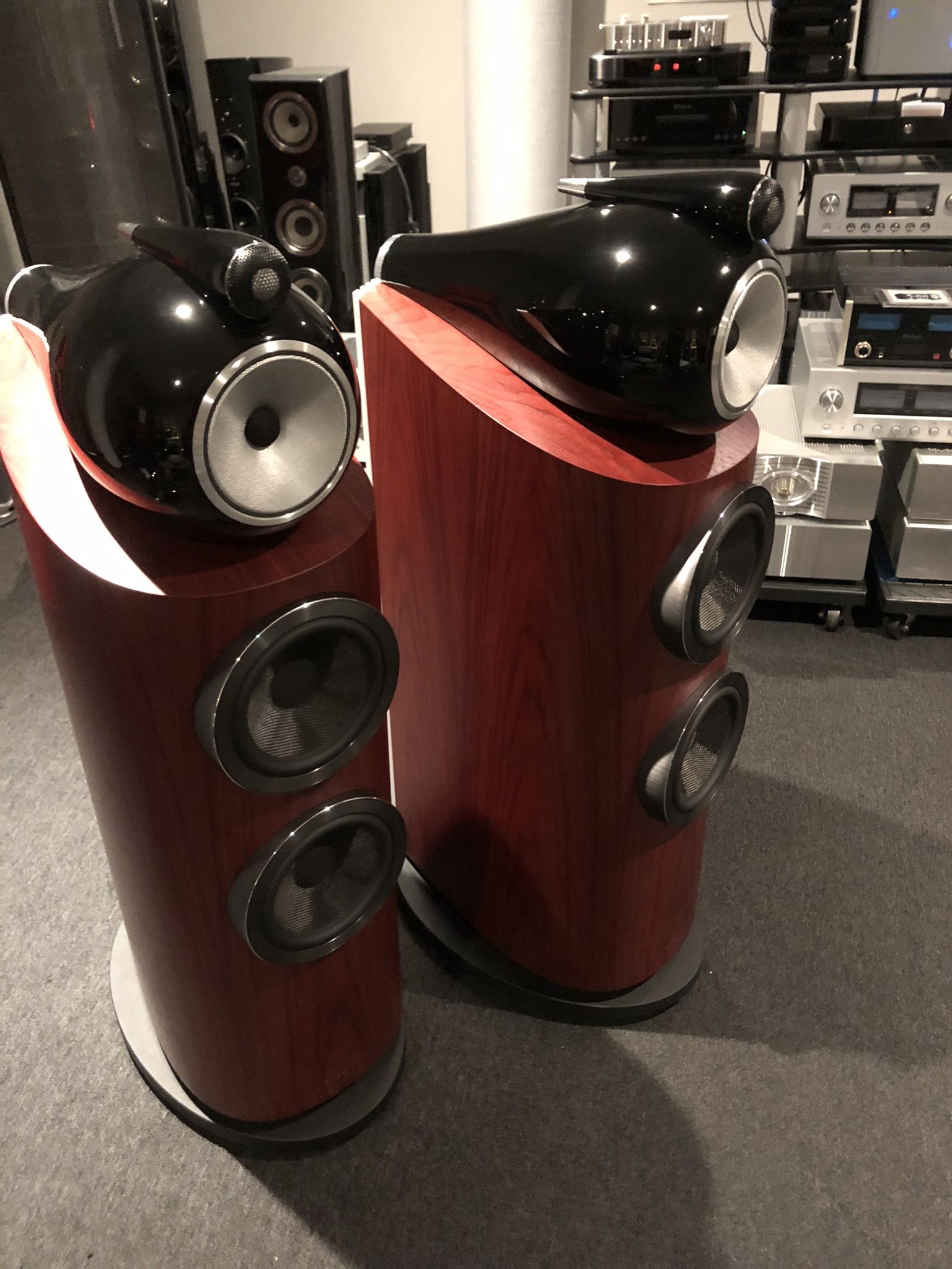 B&W (Bowers & Wilkins) 802D3 rosewood 2