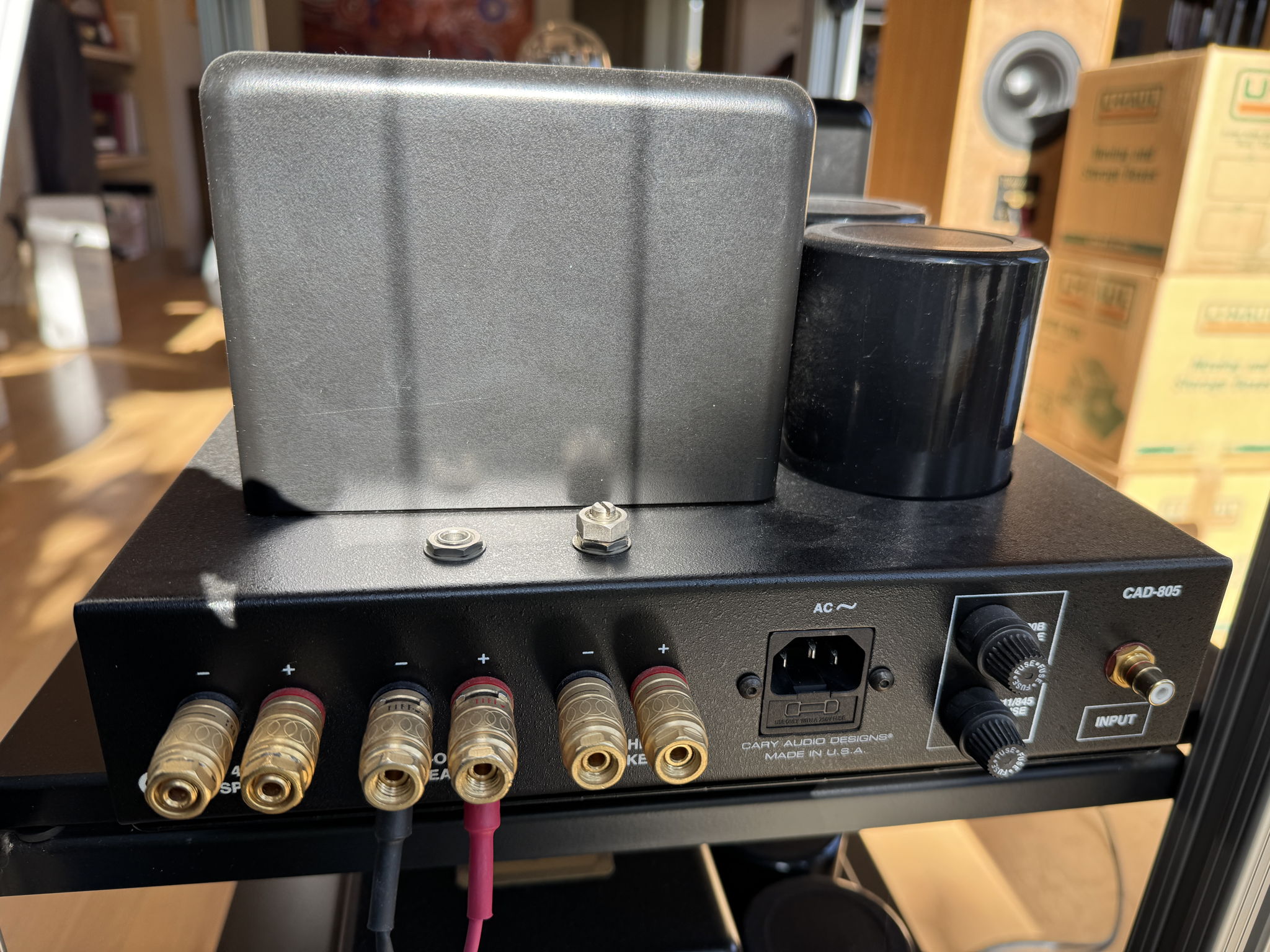 Cary Audio 805 10